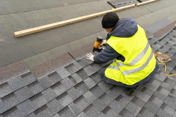 Best Metal Roofing Contractor  in Pocahontas, IA