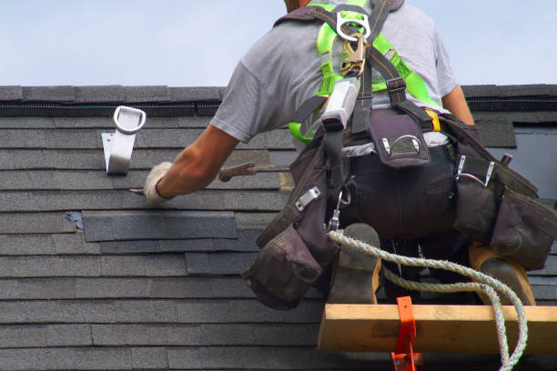 Best Roof Leak Repair  in Pocahontas, IA