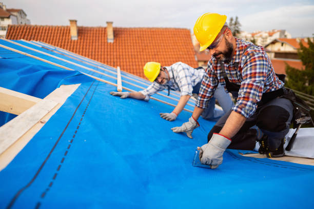 Roof Gutter Cleaning in Pocahontas, IA